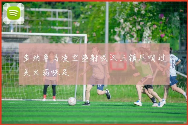 多纳鲁马凌空垫射武汉三镇压哨过关火药味足