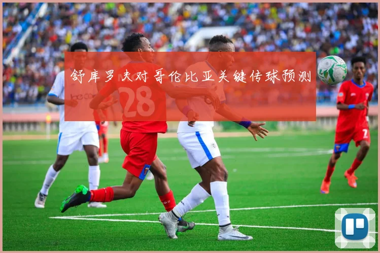 舒库罗夫对哥伦比亚关键传球预测