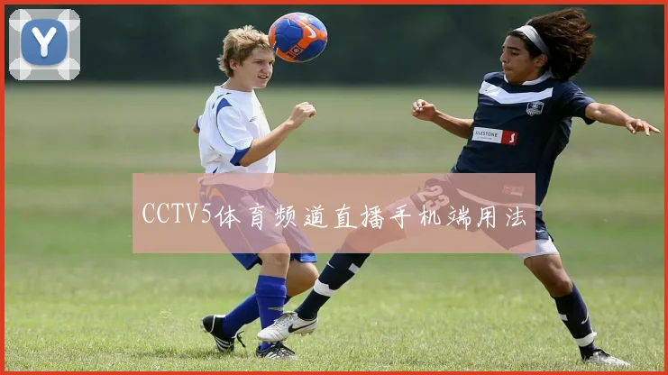 CCTV5体育频道直播手机端用法