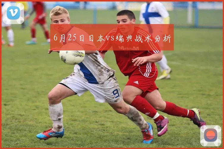 6月25日日本vs瑞典战术分析