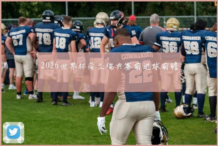 2026世界杯荷兰瑞典赛前进球前瞻