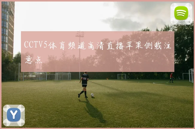 CCTV5体育频道高清直播苹果侧载注意点
